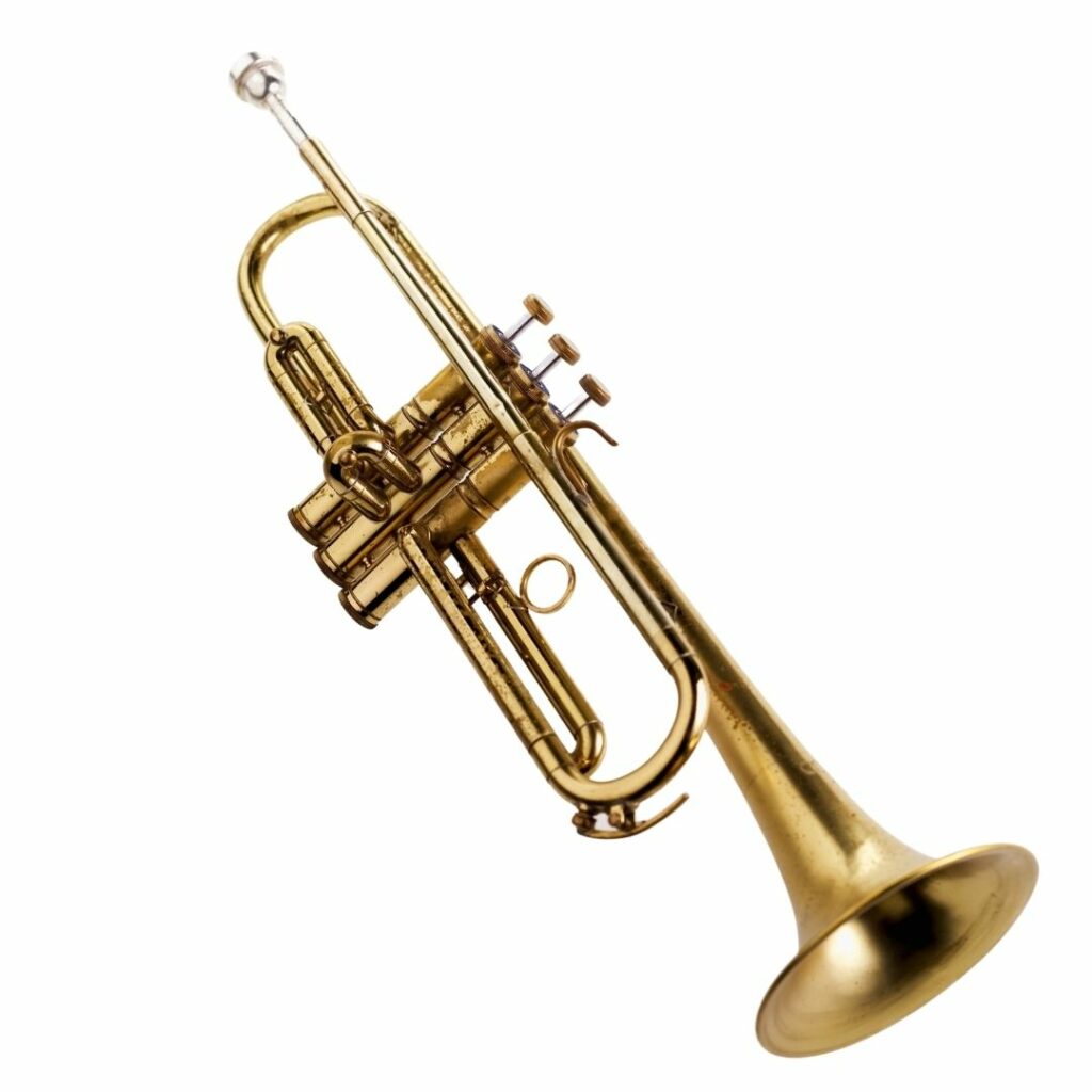If you want to buy a trumpet, you should first inform yourself about the different designs and models. 