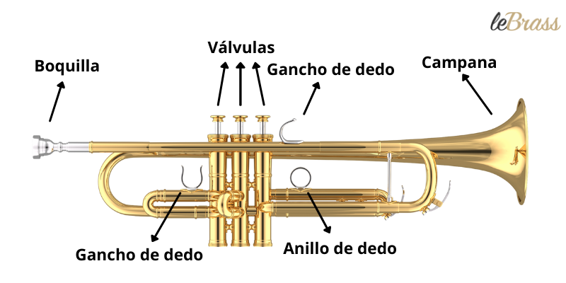Las partes individuales de una trompeta. 